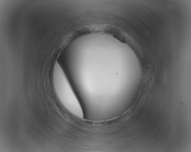 X0000081410209200701120927