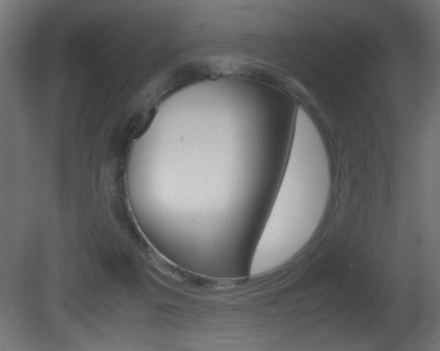 X0000081410217200701120926