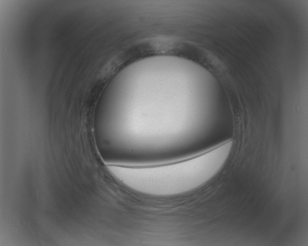 X0000081410221200701120926