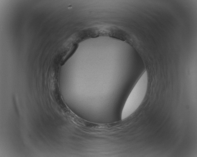 X0000081410223200701120926