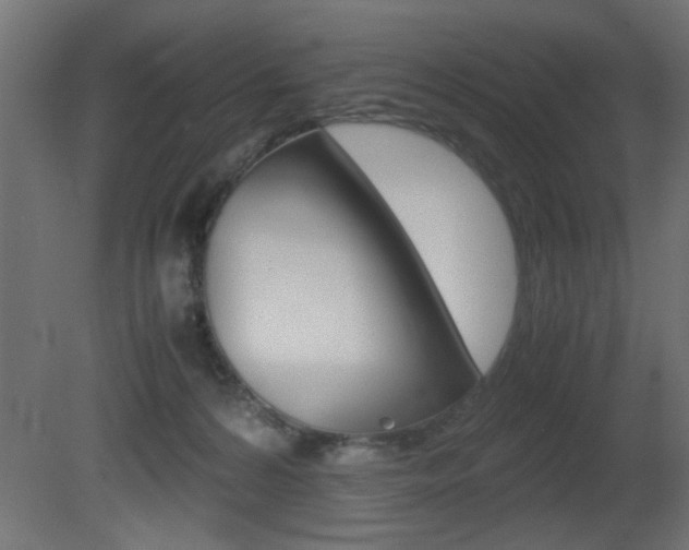 X0000081410224200701120926