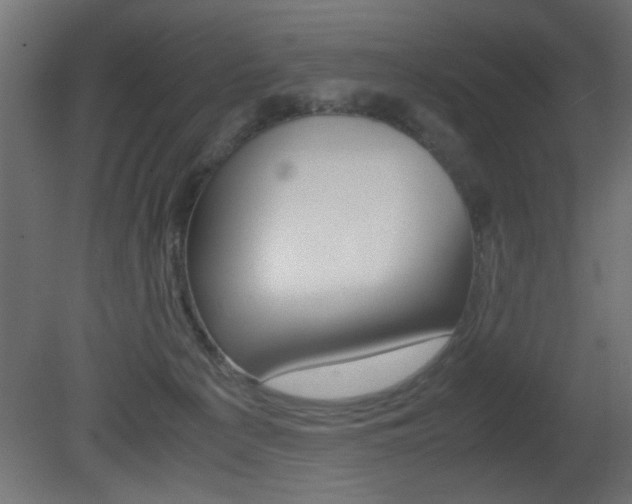 X0000081410225200701120926