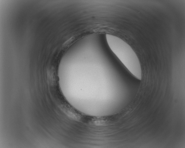 X0000081410228200701120926