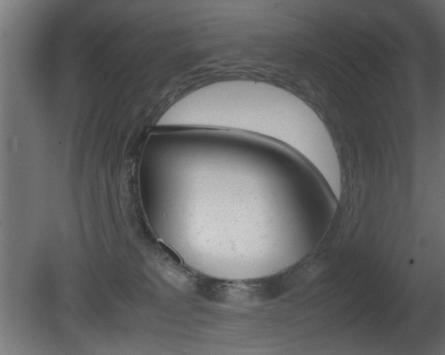 X0000081410229200701120926