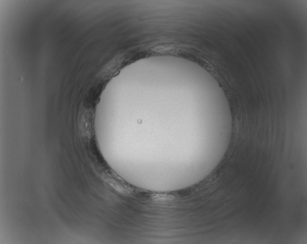 X0000081410234200701120926
