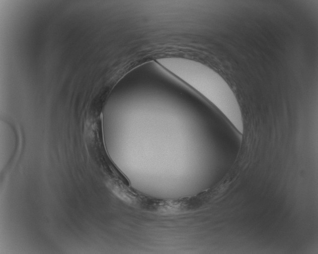 X0000081410235200701120926