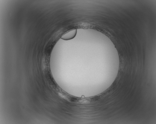 X0000081410236200701120926