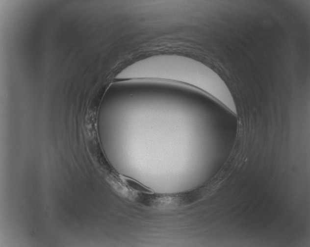 X0000081410237200701120926