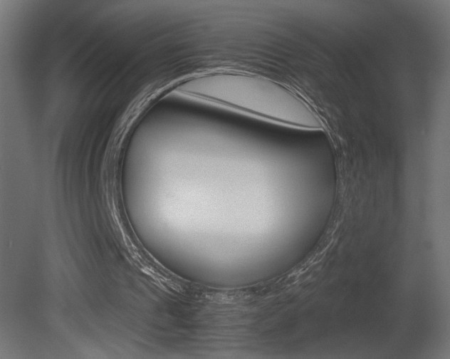 X0000081410241200701120925