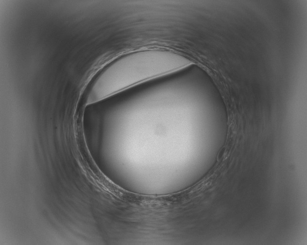 X0000081410242200701120925