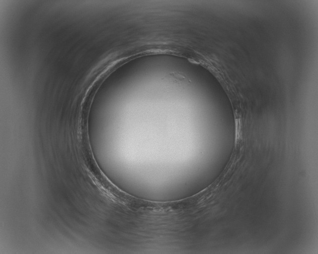 X0000081410243200701120925