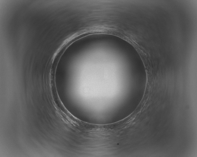 X0000081410244200701120925