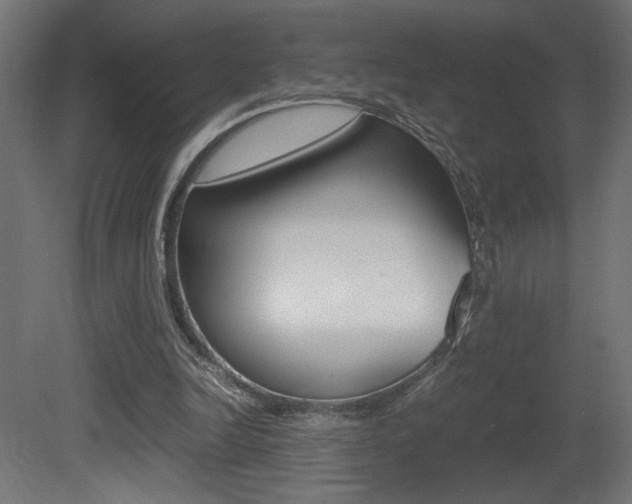 X0000081410246200701120925