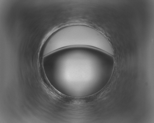 X0000081410248200701120925