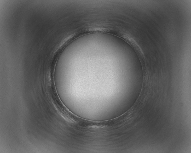 X0000081410251200701120925