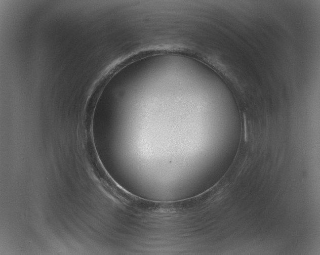 X0000081410252200701120925