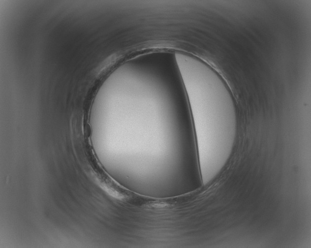 X0000081410253200701120925