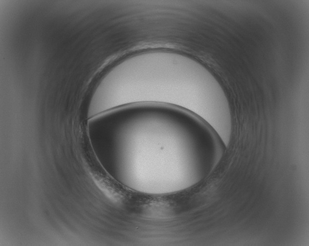 X0000081410256200701120926