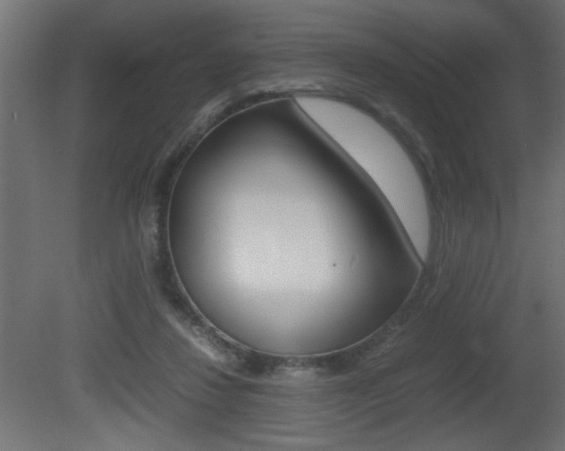 X0000081410260200701120926