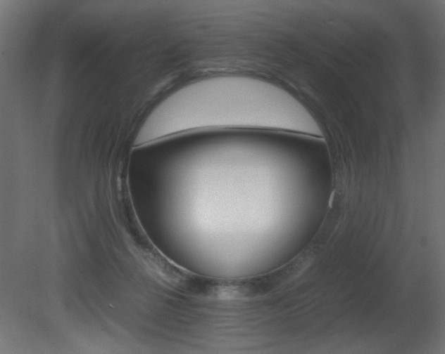 X0000081410264200701120926