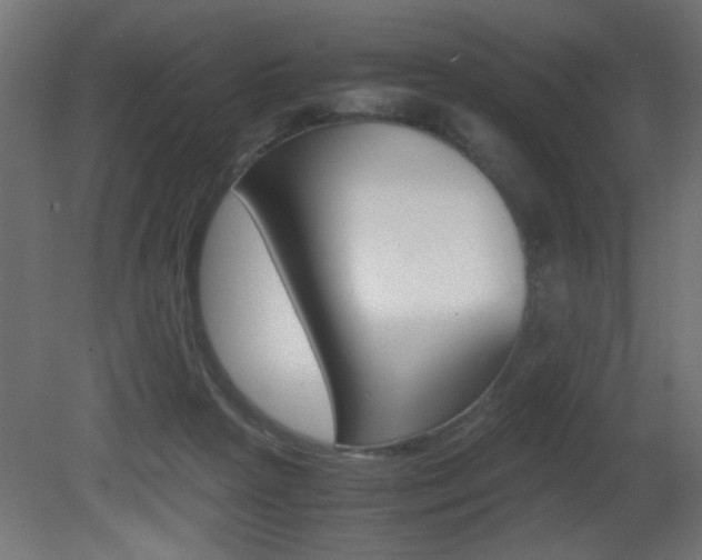 X0000081410265200701120926