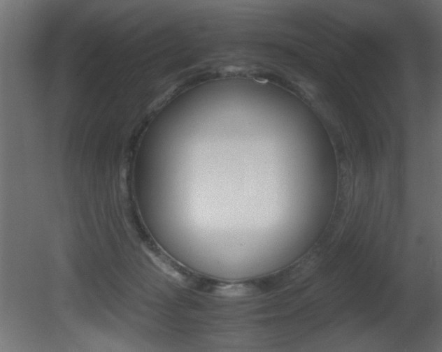 X0000081410269200701120926