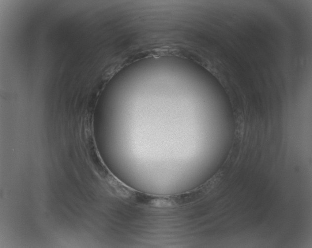 X0000081410272200701120926