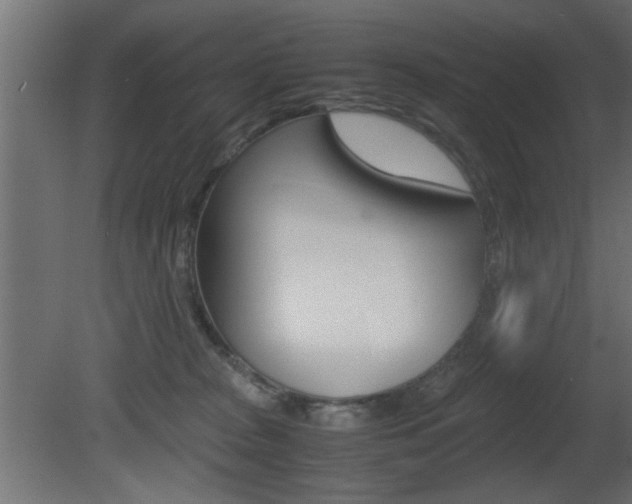X0000081410277200701120926