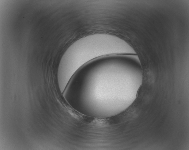 X0000081410280200701120926