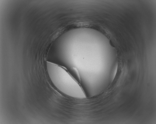 X0000081410281200701120926
