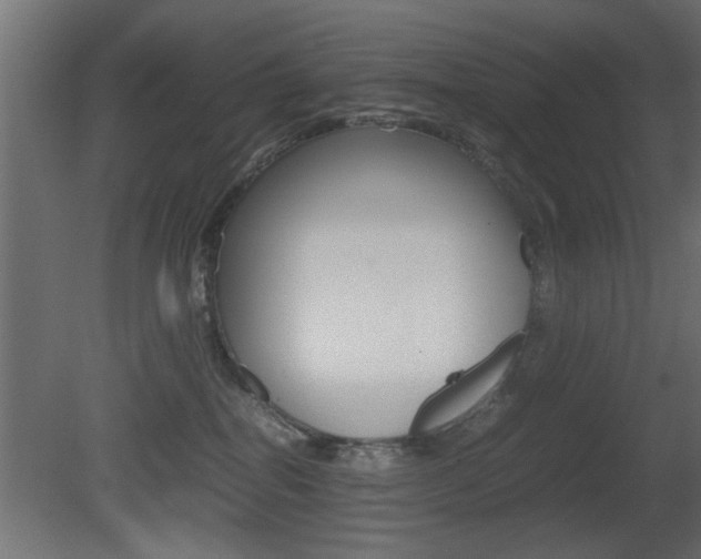 X0000081410282200701120926