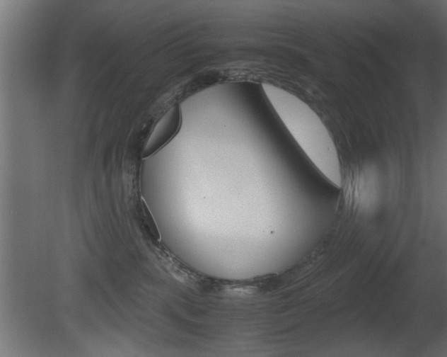 X0000081410283200701120926