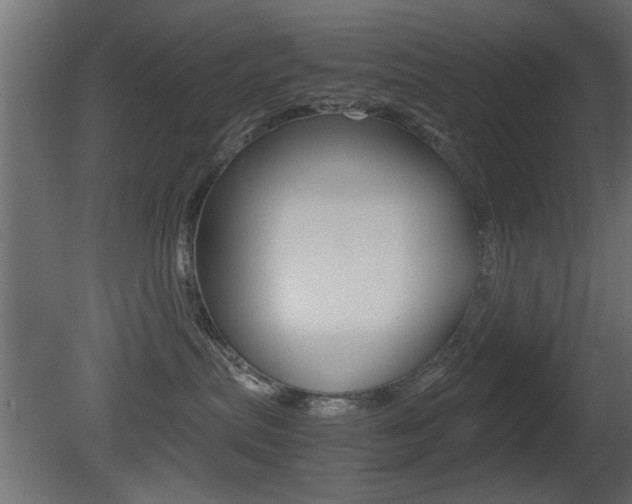X0000081410287200701120926