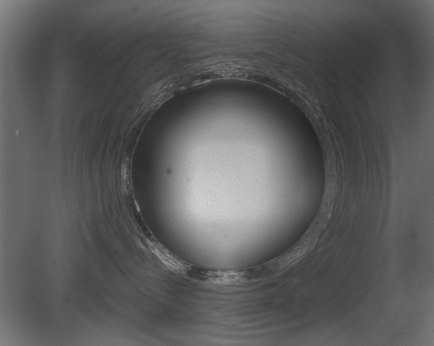 X0000081410288200701120926