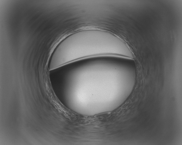 X0000081410289200701120925