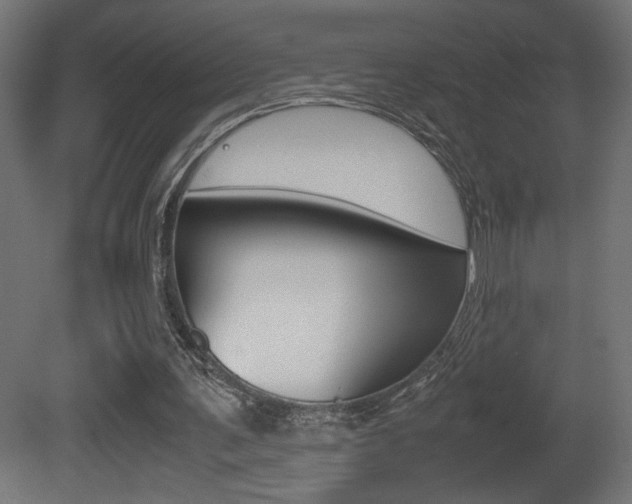 X0000081410291200701120925