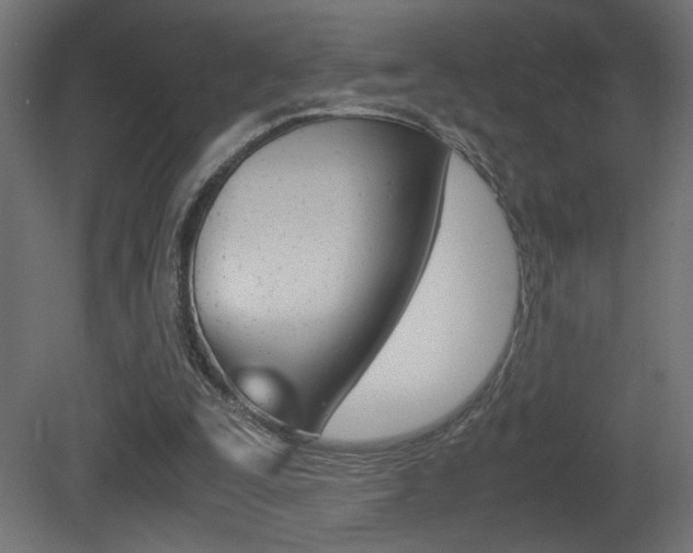 X0000081410295200701120925
