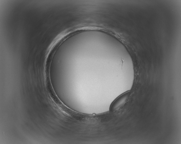 X0000081410296200701120925
