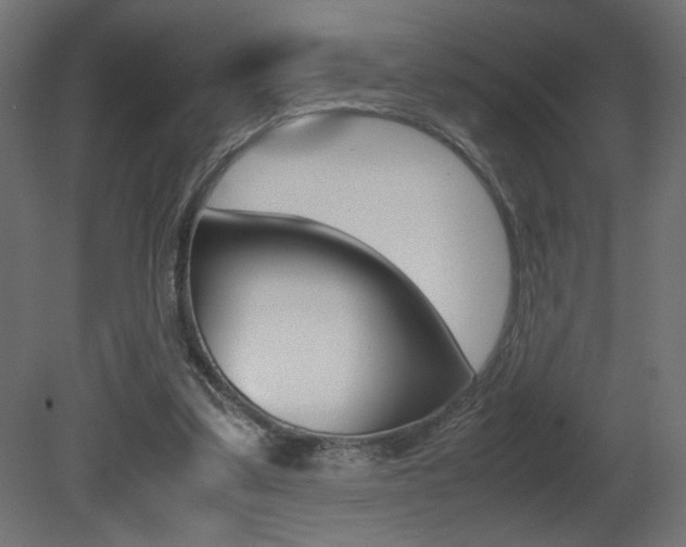 X0000081410299200701120925