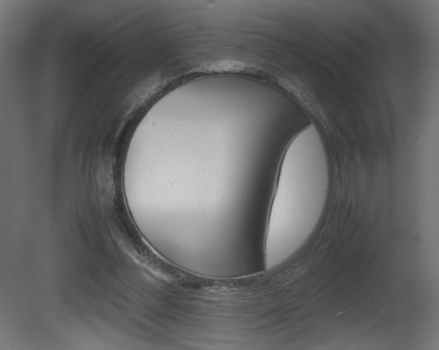 X0000081410300200701120925