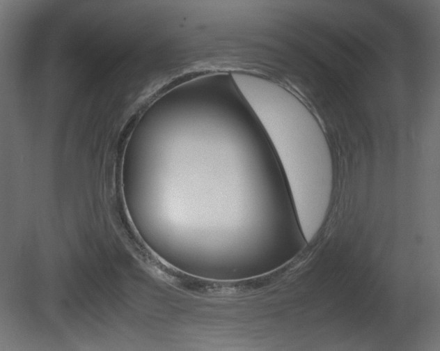 X0000081410301200701120925