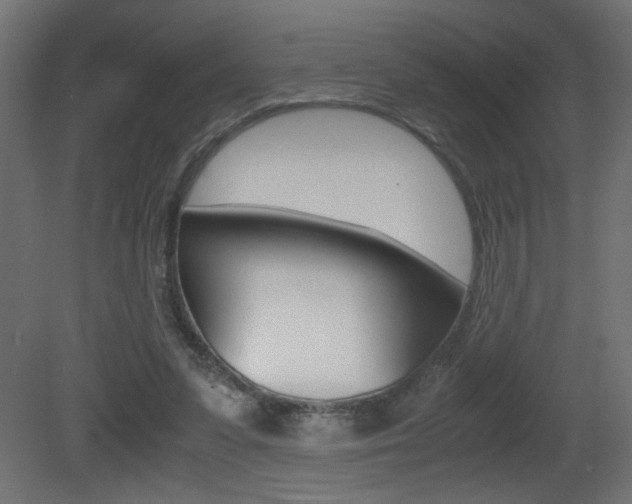 X0000081410303200701120925