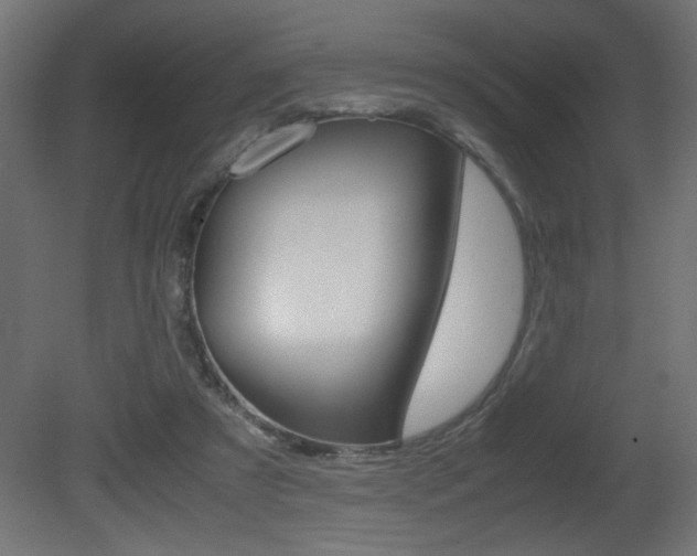X0000081410305200701120925