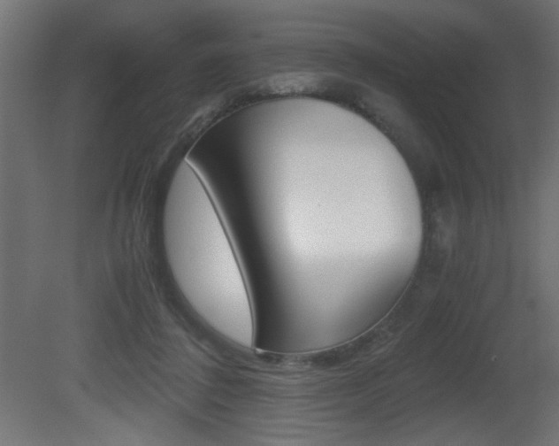 X0000081410308200701120925