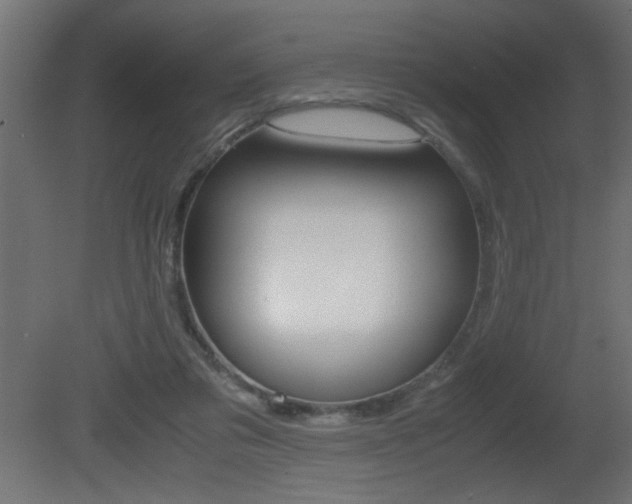 X0000081410309200701120925