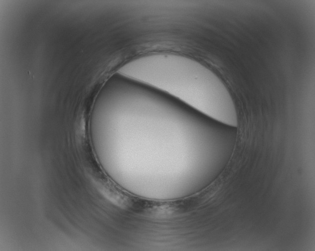 X0000081410310200701120925