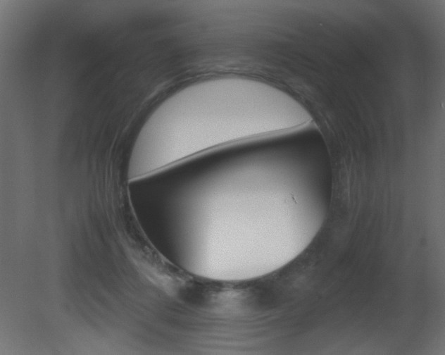 X0000081410312200701120925