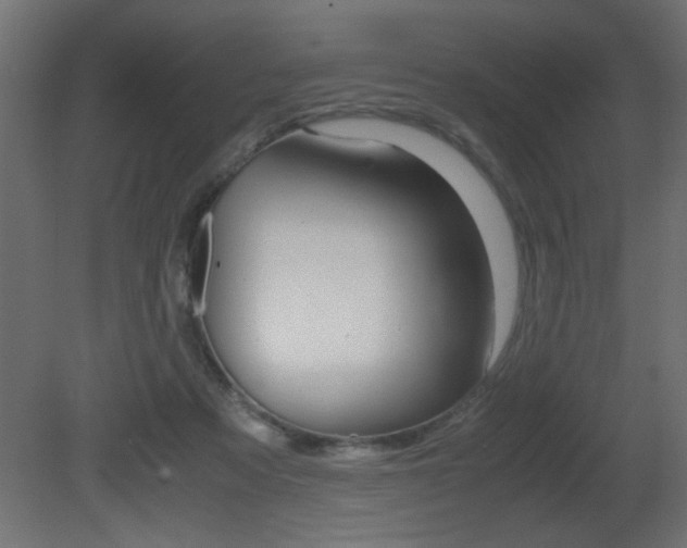 X0000081410313200701120925