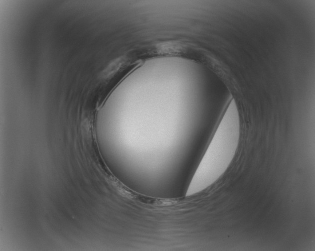 X0000081410329200701120925