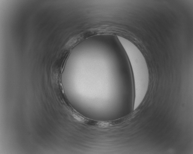X0000081410333200701120924